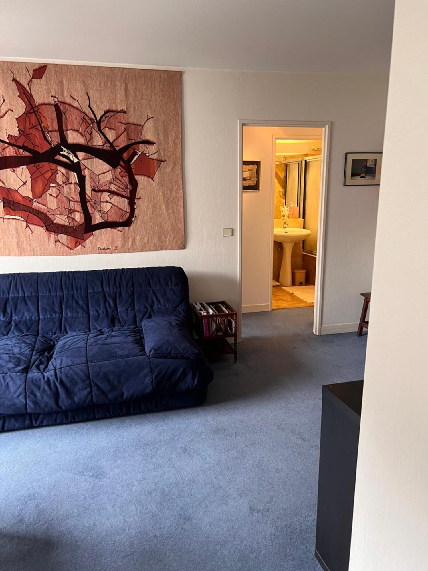 Rue Du Theatre Apartment