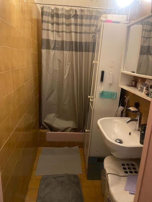 Appartement 1 Chatelet *