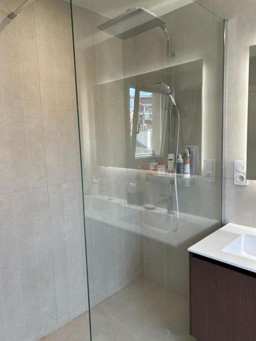 Appartement Sur Les Toits De Paris
