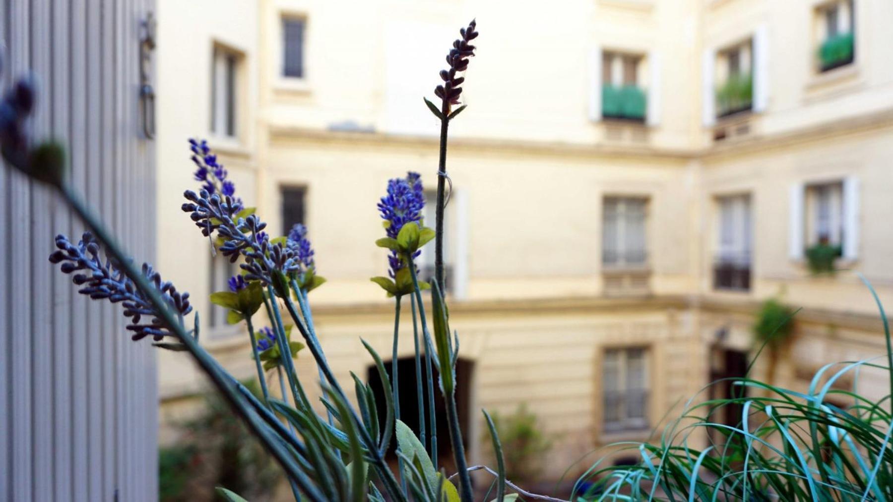 Rue Lauriston - 16 Apartment