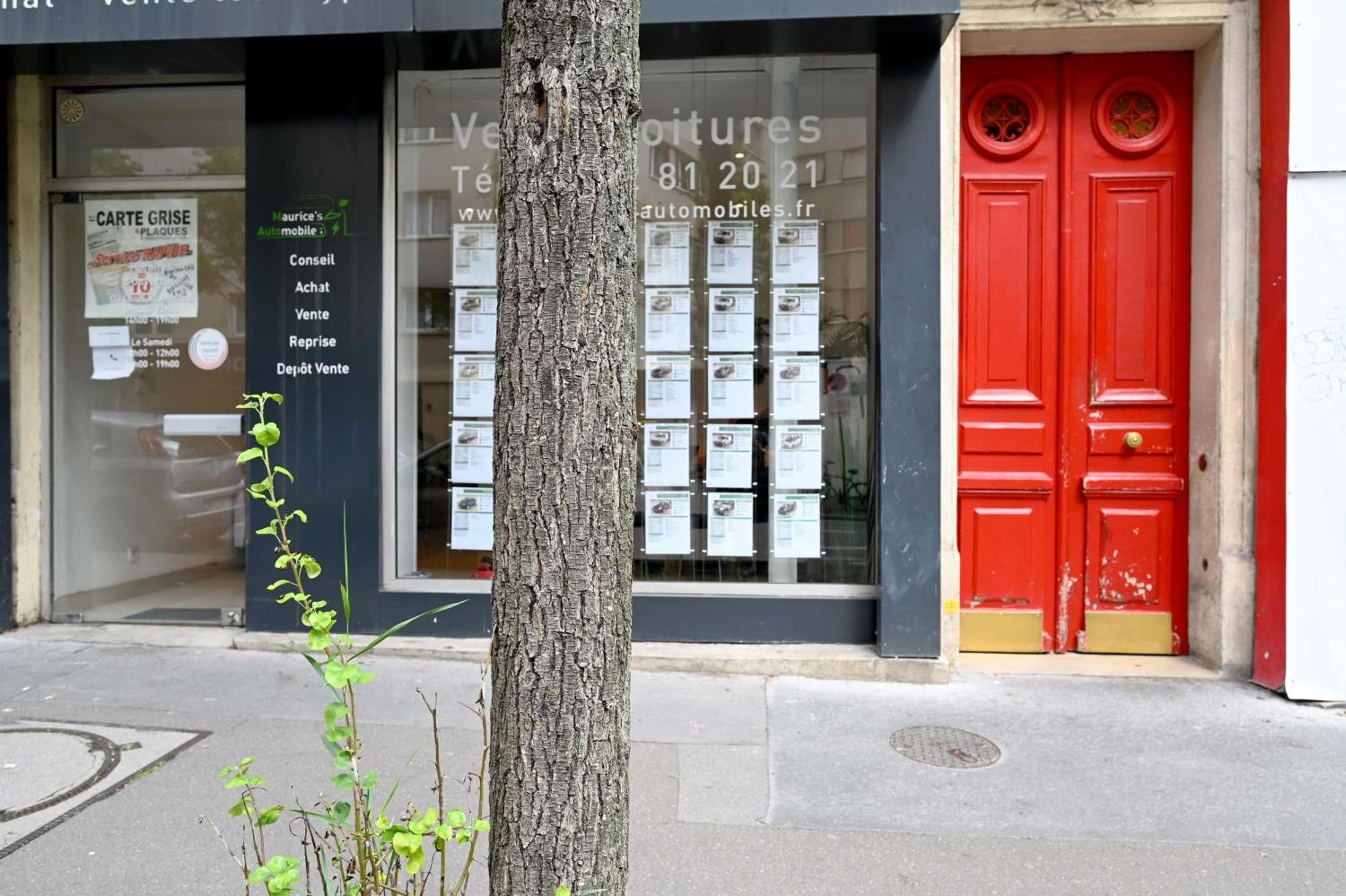 Apartment Charmant And Cosy D'architecte *