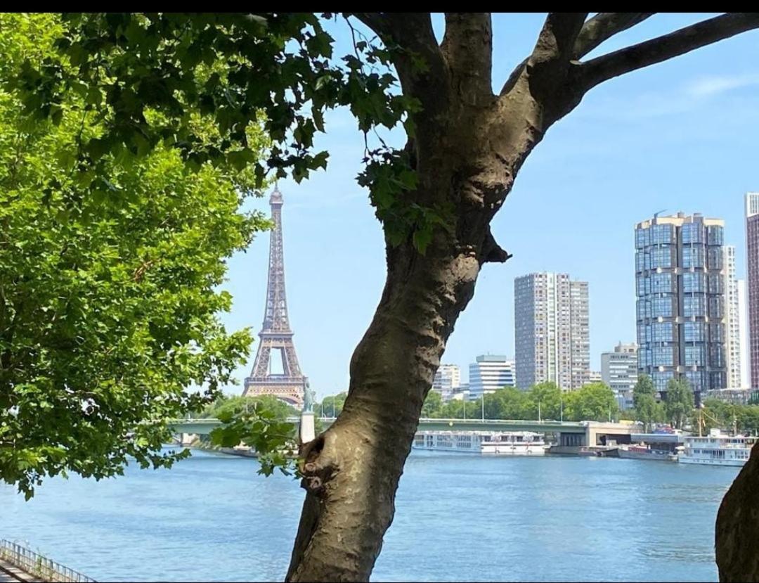Tour Eiffel Mirabeau *