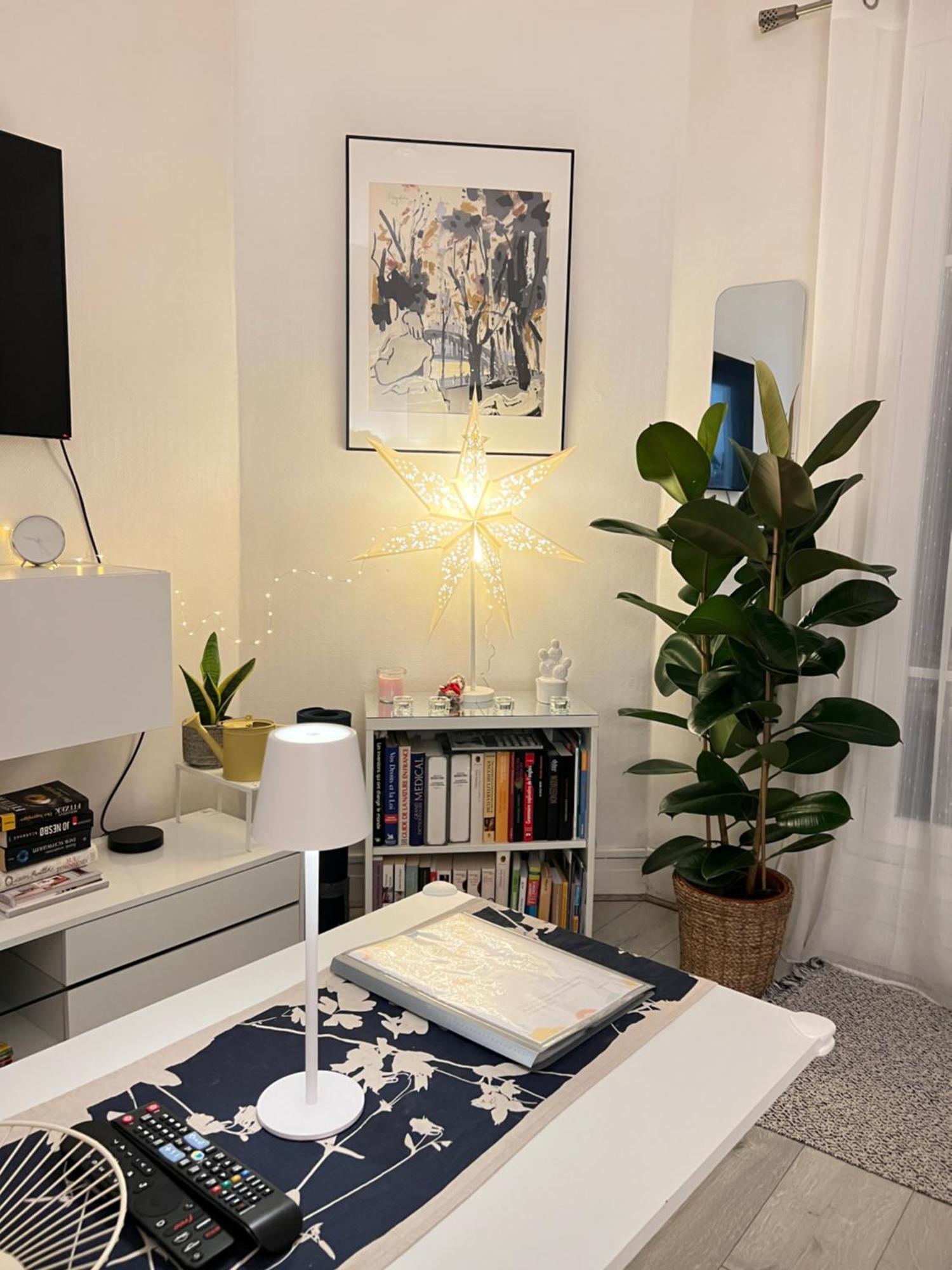 Apartment T2 Cosy Et Lumineux Au Coeur De Paris12