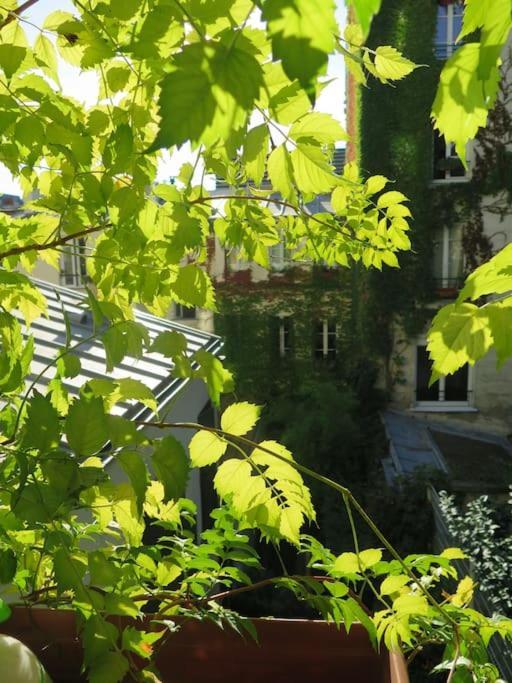 A Paradise Of Calm And Charm Paris