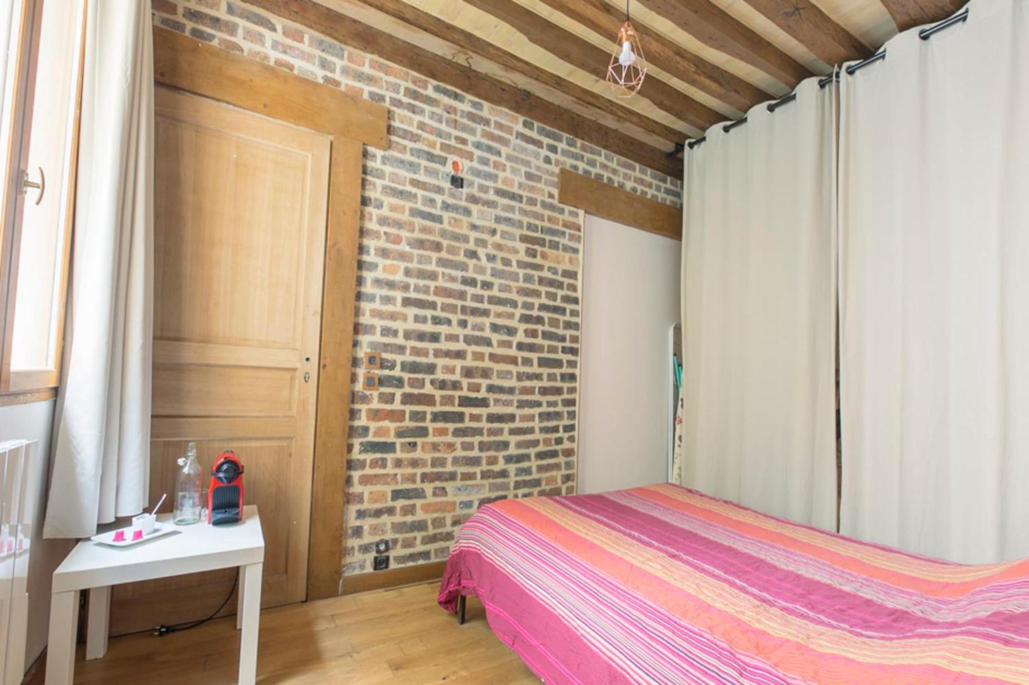 Apartment Beautiful With Terrace Near Bastille