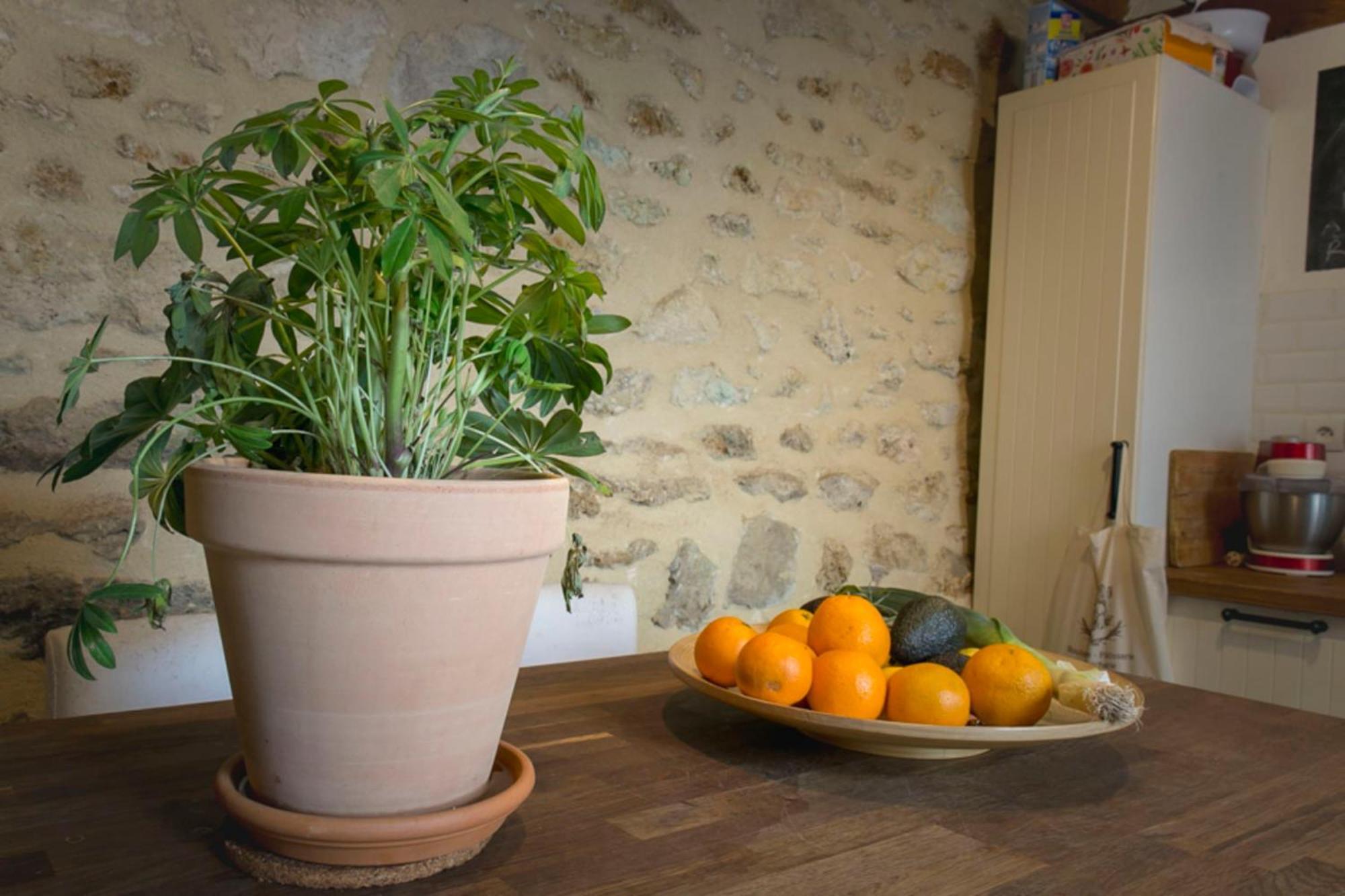 Apartment Beautiful With Terrace Near Bastille