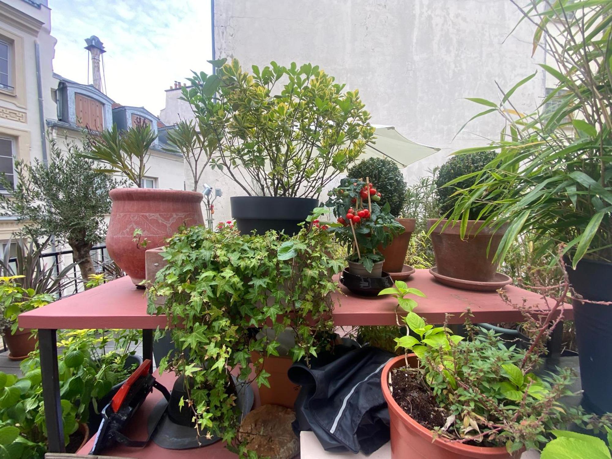 Aux Terrasses De La Lune Appartement *