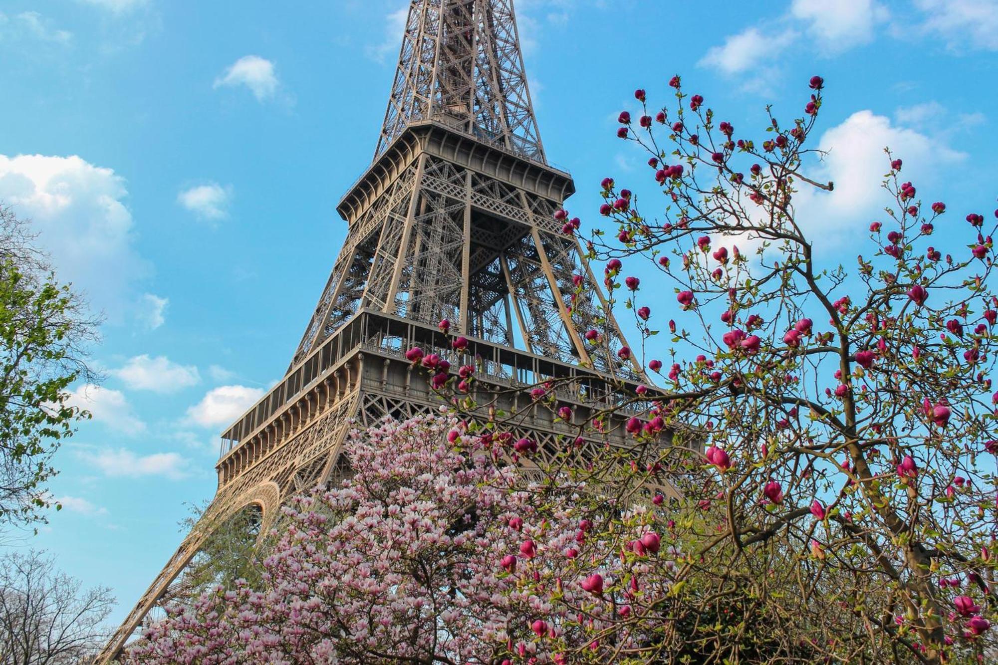 King Size Beds - Zen Monceau Apartamento Paris