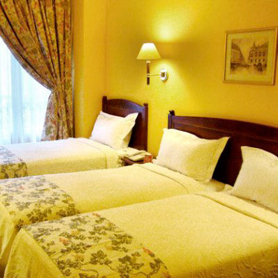 Hotel Regence 3*